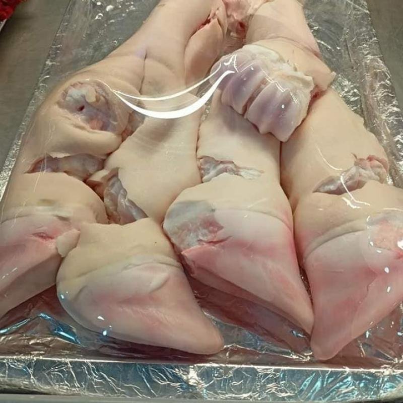 كوارع كندوز