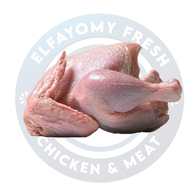 ديك رومي سادة