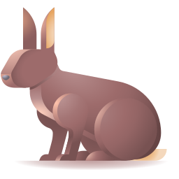 قسم الارانب